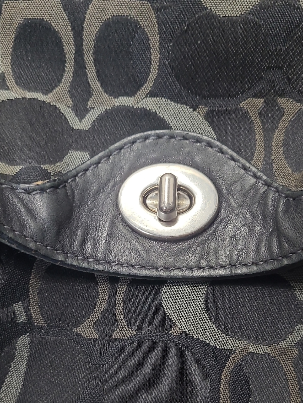 Coach Chelsea Signature C Optic Hobo - Picture 7 of 16